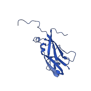13345_7pe2_ZC_v1-1
Cryo-EM structure of BMV-derived VLP expressed in E. coli (eVLP)