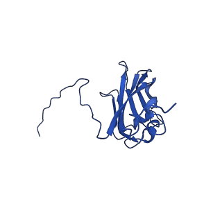 13345_7pe2_ZE_v1-1
Cryo-EM structure of BMV-derived VLP expressed in E. coli (eVLP)
