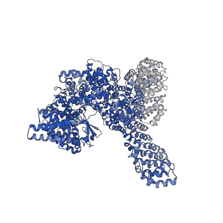 13347_7pe7_A_v1-1
cryo-EM structure of DEPTOR bound to human mTOR complex 2, overall refinement