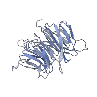 13347_7pe7_C_v1-1
cryo-EM structure of DEPTOR bound to human mTOR complex 2, overall refinement