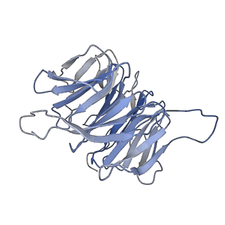 13347_7pe7_D_v1-1
cryo-EM structure of DEPTOR bound to human mTOR complex 2, overall refinement