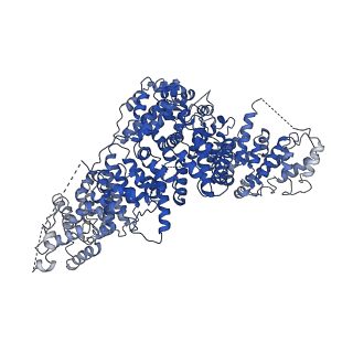 13347_7pe7_F_v1-1
cryo-EM structure of DEPTOR bound to human mTOR complex 2, overall refinement