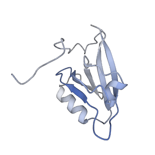 13347_7pe7_I_v1-1
cryo-EM structure of DEPTOR bound to human mTOR complex 2, overall refinement