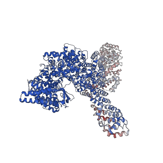 13348_7pe8_A_v1-1
cryo-EM structure of DEPTOR bound to human mTOR complex 2, focussed on one protomer