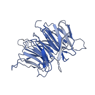 13348_7pe8_C_v1-1
cryo-EM structure of DEPTOR bound to human mTOR complex 2, focussed on one protomer
