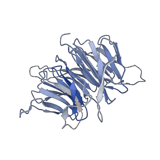 13349_7pe9_C_v1-1
cryo-EM structure of DEPTOR bound to human mTOR complex 2, DEPt-bound subset local refinement
