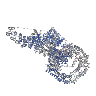 13350_7pea_A_v1-1
cryo-EM structure of DEPTOR bound to human mTOR complex 1, overall refinement