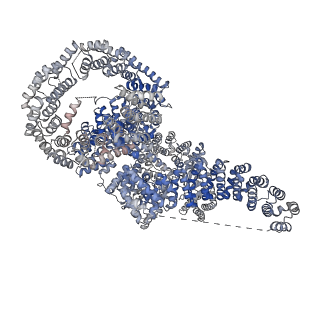 13350_7pea_B_v1-1
cryo-EM structure of DEPTOR bound to human mTOR complex 1, overall refinement