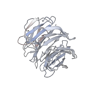 13350_7pea_C_v1-1
cryo-EM structure of DEPTOR bound to human mTOR complex 1, overall refinement