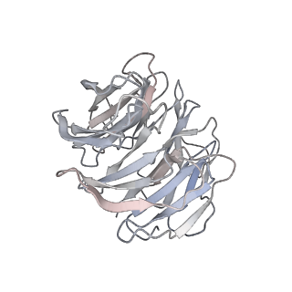 13350_7pea_D_v1-1
cryo-EM structure of DEPTOR bound to human mTOR complex 1, overall refinement