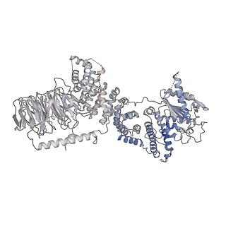 13350_7pea_E_v1-1
cryo-EM structure of DEPTOR bound to human mTOR complex 1, overall refinement