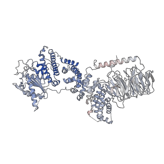 13350_7pea_F_v1-1
cryo-EM structure of DEPTOR bound to human mTOR complex 1, overall refinement