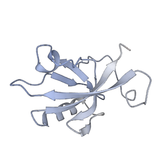 13350_7pea_I_v1-1
cryo-EM structure of DEPTOR bound to human mTOR complex 1, overall refinement