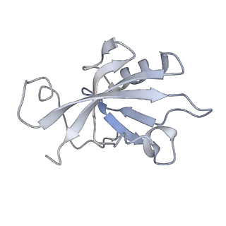 13350_7pea_J_v1-1
cryo-EM structure of DEPTOR bound to human mTOR complex 1, overall refinement