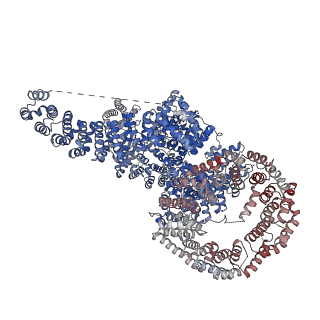 13351_7peb_A_v1-1
cryo-EM structure of DEPTOR bound to human mTOR complex 1, focussed on one protomer