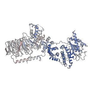 13351_7peb_E_v1-1
cryo-EM structure of DEPTOR bound to human mTOR complex 1, focussed on one protomer