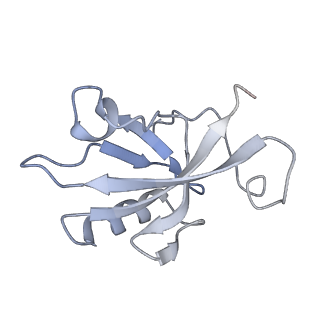 13351_7peb_I_v1-1
cryo-EM structure of DEPTOR bound to human mTOR complex 1, focussed on one protomer