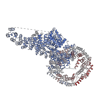 13352_7pec_A_v1-1
cryo-EM structure of DEPTOR bound to human mTOR complex 1, DEPt-bound subset local refinement