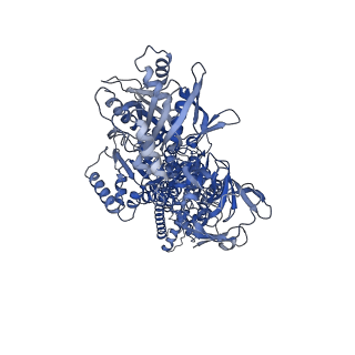 13353_7pem_A_v1-0
Cryo-EM structure of phophorylated Drs2p-Cdc50p in a PS and ATP-bound E2P state