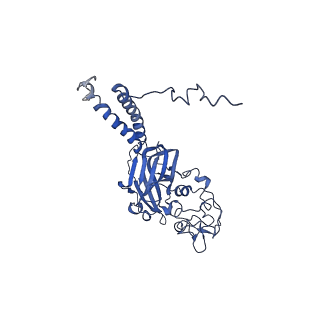 13353_7pem_C_v1-0
Cryo-EM structure of phophorylated Drs2p-Cdc50p in a PS and ATP-bound E2P state