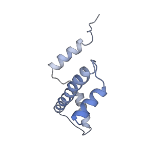 13359_7pew_A_v1-0
Nucleosome 1 of the 4x177 nucleosome array containing H1