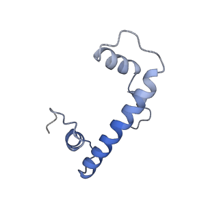 13359_7pew_B_v1-0
Nucleosome 1 of the 4x177 nucleosome array containing H1