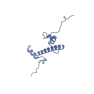 13359_7pew_C_v1-0
Nucleosome 1 of the 4x177 nucleosome array containing H1