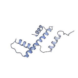 13359_7pew_E_v1-0
Nucleosome 1 of the 4x177 nucleosome array containing H1