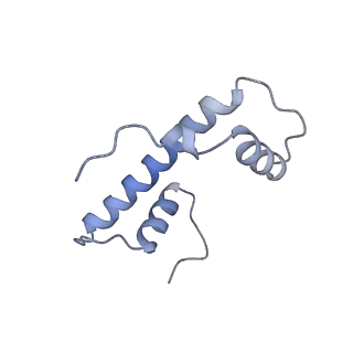 13359_7pew_F_v1-0
Nucleosome 1 of the 4x177 nucleosome array containing H1