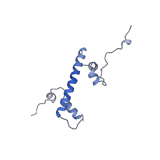 13359_7pew_G_v1-0
Nucleosome 1 of the 4x177 nucleosome array containing H1