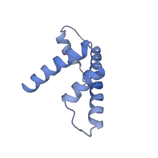 13359_7pew_H_v1-0
Nucleosome 1 of the 4x177 nucleosome array containing H1