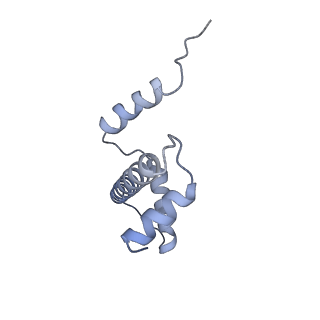 13361_7pey_K_v1-0
Nucleosome 3 of the 4x177 nucleosome array containing H1