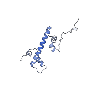 13361_7pey_Q_v1-0
Nucleosome 3 of the 4x177 nucleosome array containing H1