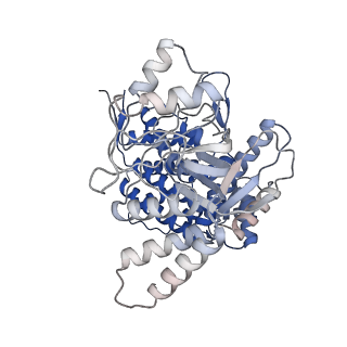 17629_8pe8_C_v1-0
Symmetry expanded D7 local refined map of mitochondrial heat-shock protein 60-like protein from Chaetomium thermophilum