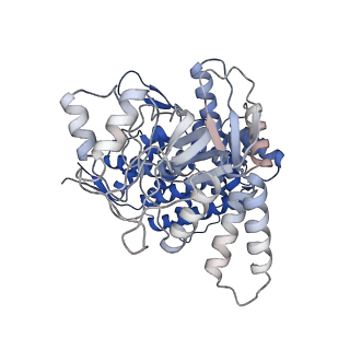 17629_8pe8_D_v1-0
Symmetry expanded D7 local refined map of mitochondrial heat-shock protein 60-like protein from Chaetomium thermophilum