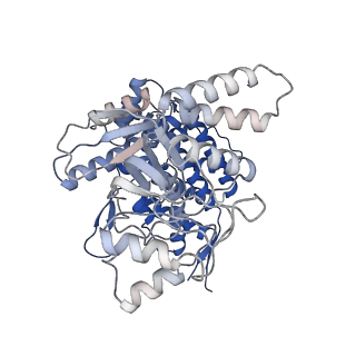 17629_8pe8_F_v1-0
Symmetry expanded D7 local refined map of mitochondrial heat-shock protein 60-like protein from Chaetomium thermophilum