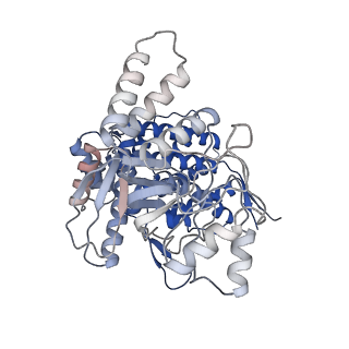17629_8pe8_G_v1-0
Symmetry expanded D7 local refined map of mitochondrial heat-shock protein 60-like protein from Chaetomium thermophilum