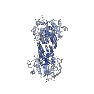 17630_8pee_A_v1-0
ABCB1 L335C mutant (mABCB1) in the inward facing state bound to AAC