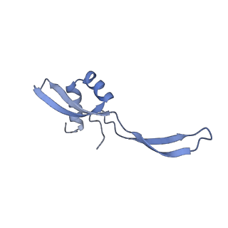 17631_8peg_1_v1-0
Escherichia coli paused disome complex (queueing 70S non-rotated closed PRE state)