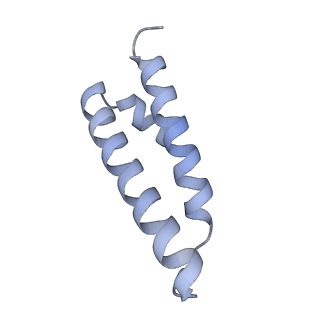 17631_8peg_2_v1-0
Escherichia coli paused disome complex (queueing 70S non-rotated closed PRE state)