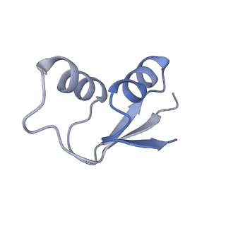 17631_8peg_3_v1-0
Escherichia coli paused disome complex (queueing 70S non-rotated closed PRE state)