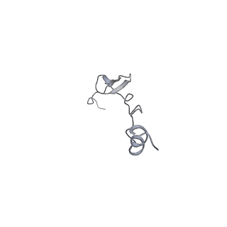 17631_8peg_4_v1-0
Escherichia coli paused disome complex (queueing 70S non-rotated closed PRE state)