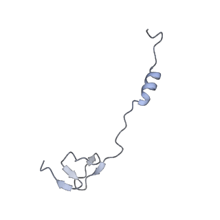 17631_8peg_5_v1-0
Escherichia coli paused disome complex (queueing 70S non-rotated closed PRE state)