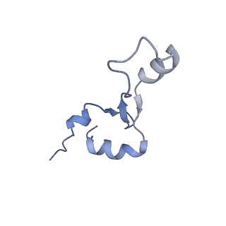 17631_8peg_6_v1-0
Escherichia coli paused disome complex (queueing 70S non-rotated closed PRE state)