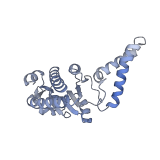 17631_8peg_B_v1-0
Escherichia coli paused disome complex (queueing 70S non-rotated closed PRE state)