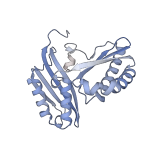 17631_8peg_C_v1-0
Escherichia coli paused disome complex (queueing 70S non-rotated closed PRE state)