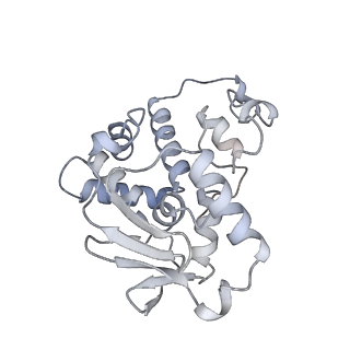 17631_8peg_D_v1-0
Escherichia coli paused disome complex (queueing 70S non-rotated closed PRE state)