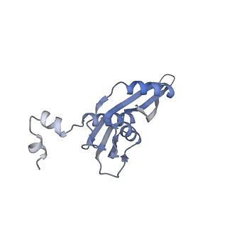 17631_8peg_E_v1-0
Escherichia coli paused disome complex (queueing 70S non-rotated closed PRE state)