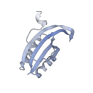 17631_8peg_F_v1-0
Escherichia coli paused disome complex (queueing 70S non-rotated closed PRE state)