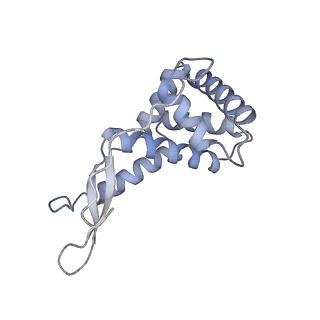17631_8peg_G_v1-0
Escherichia coli paused disome complex (queueing 70S non-rotated closed PRE state)